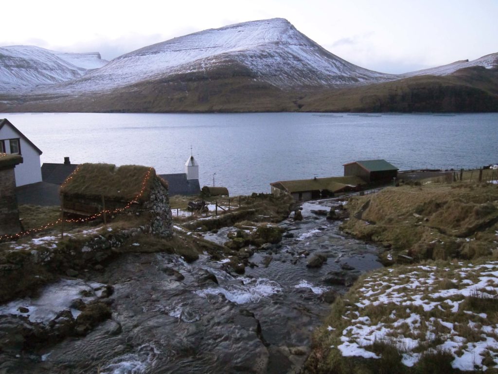 Fjord Bour