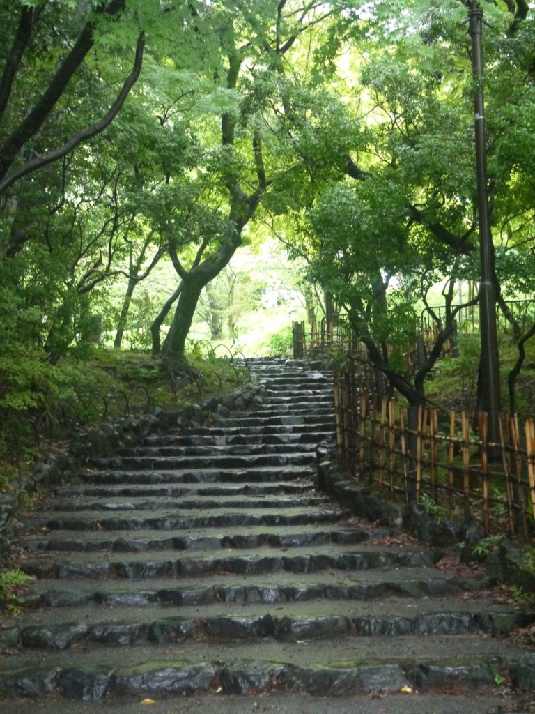 parc Maruyama