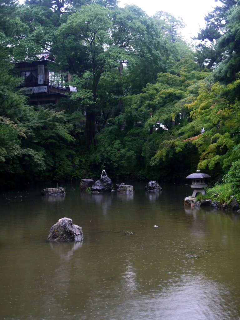 Yasaka jinja mare