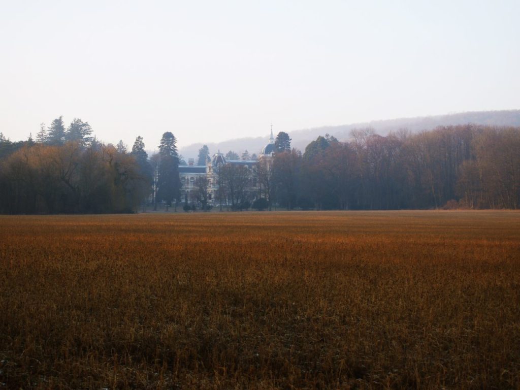 Lainzer Tiergarten Vienne