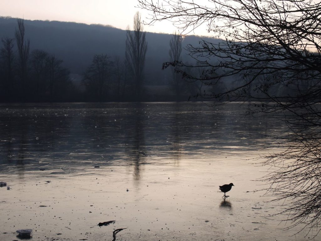 Lainzer Tiergarten See Vienne