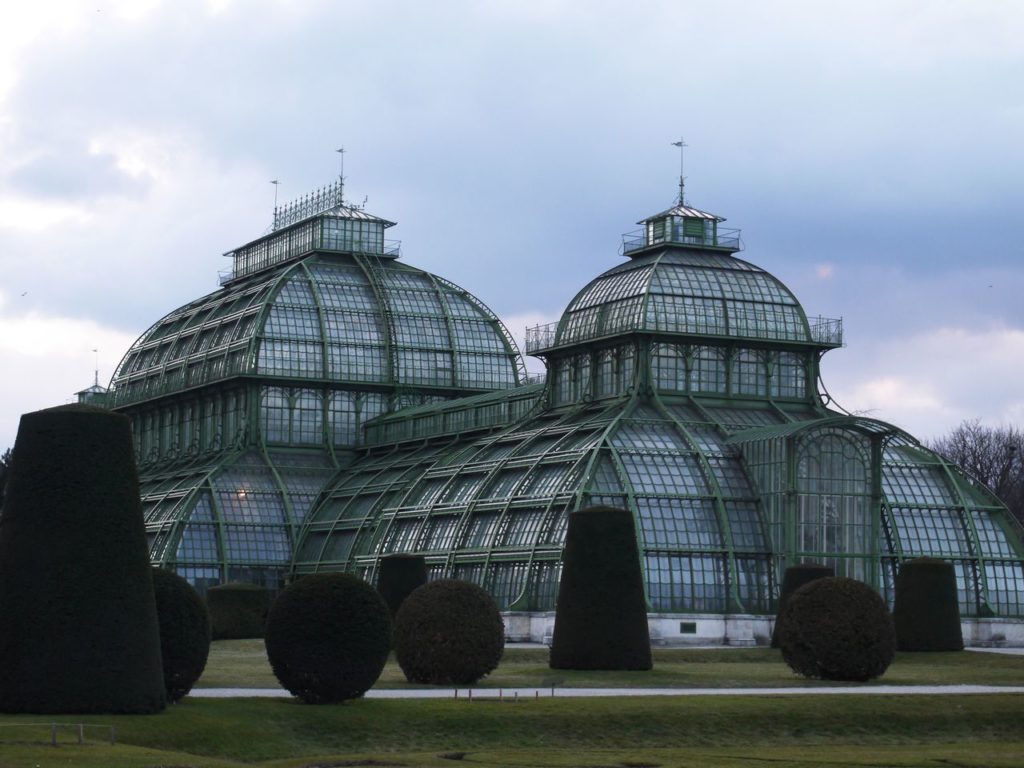 Schonbrunn serre palmiers