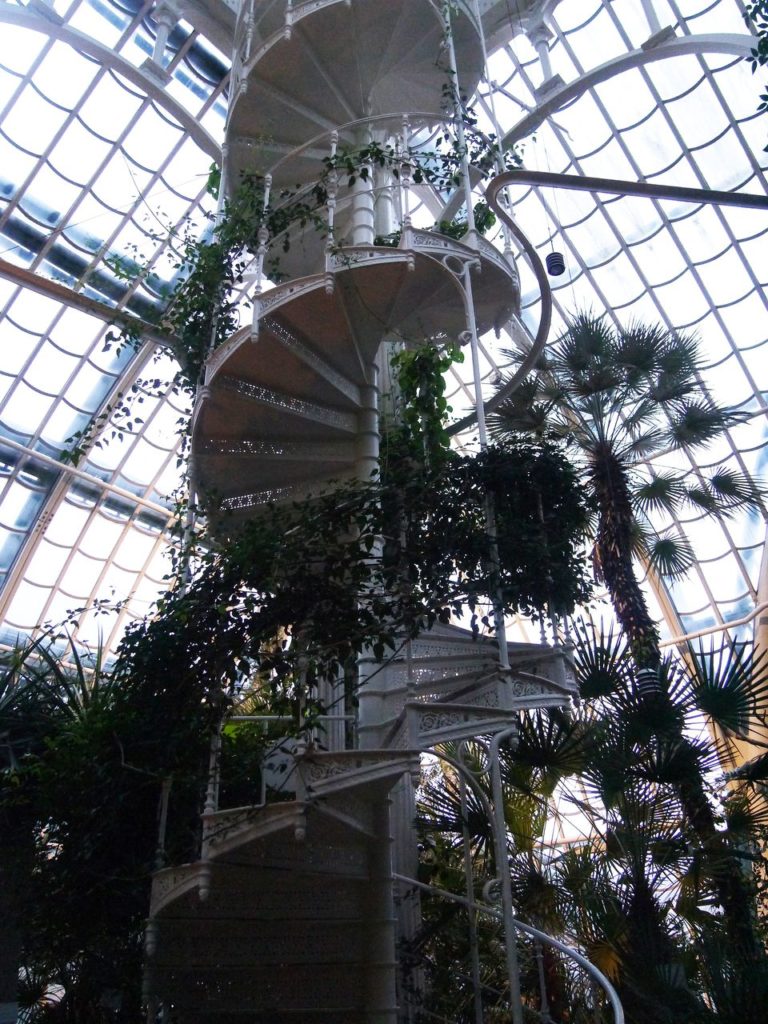 Schonbrunn-serre-palmiers-escalier