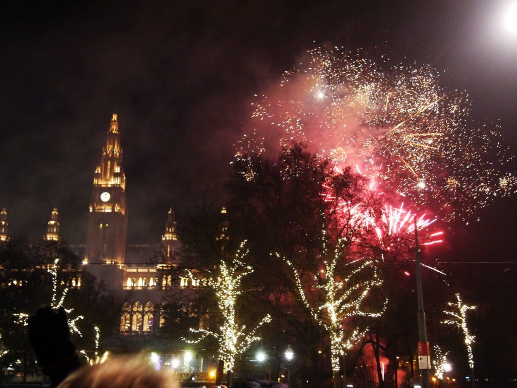 Feu d'artifice vienne 4