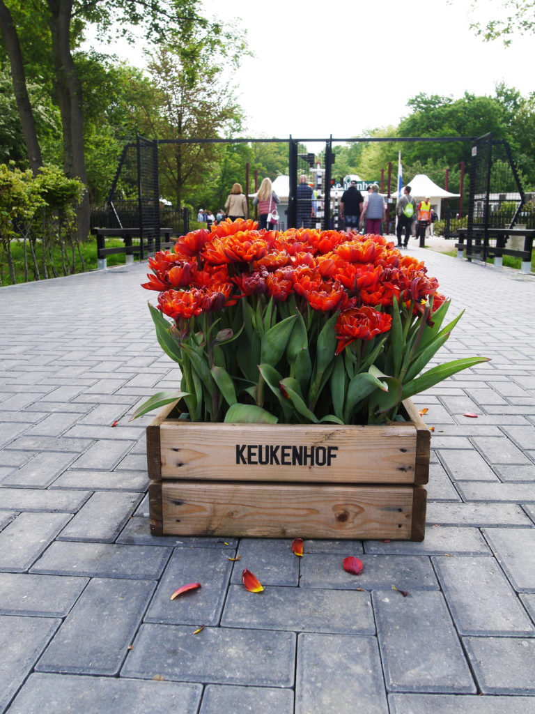 Keukenhof entrée