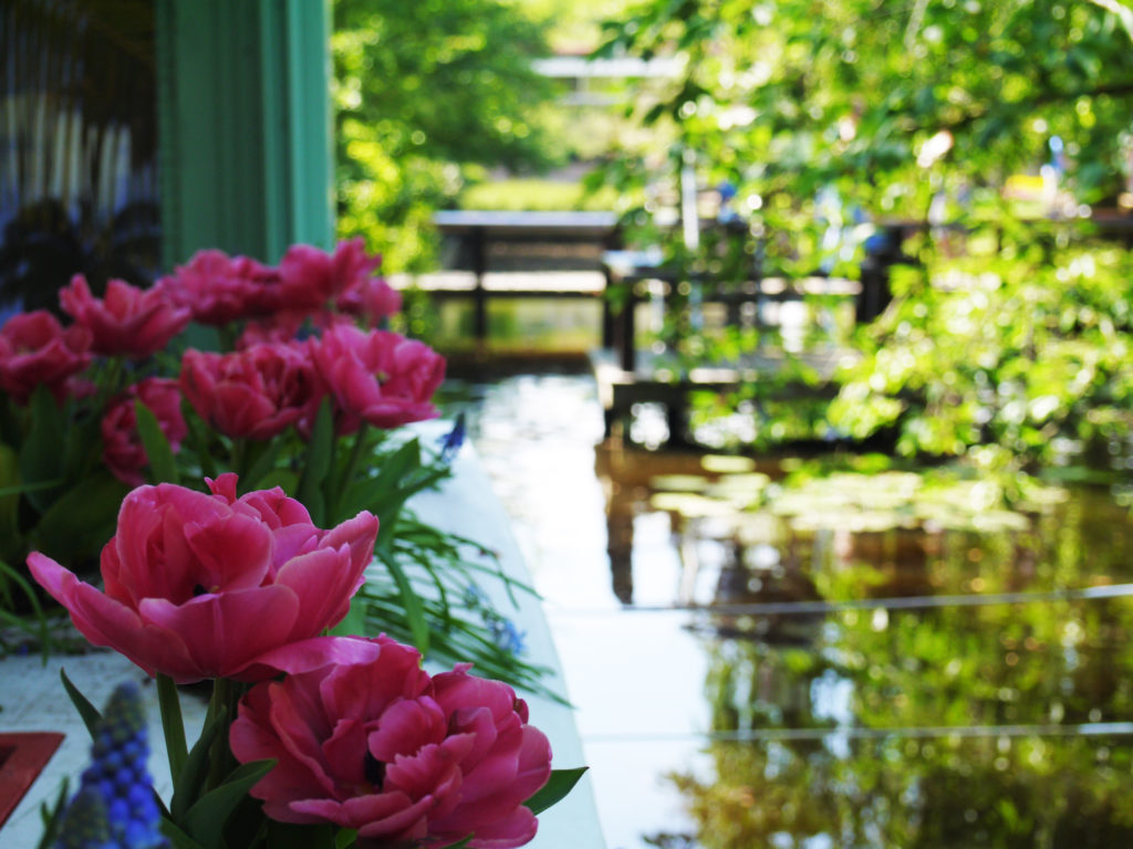 Keukenhof jardin focus