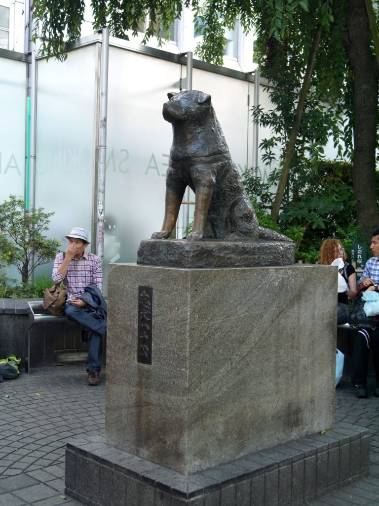 Hatchiko shibuya