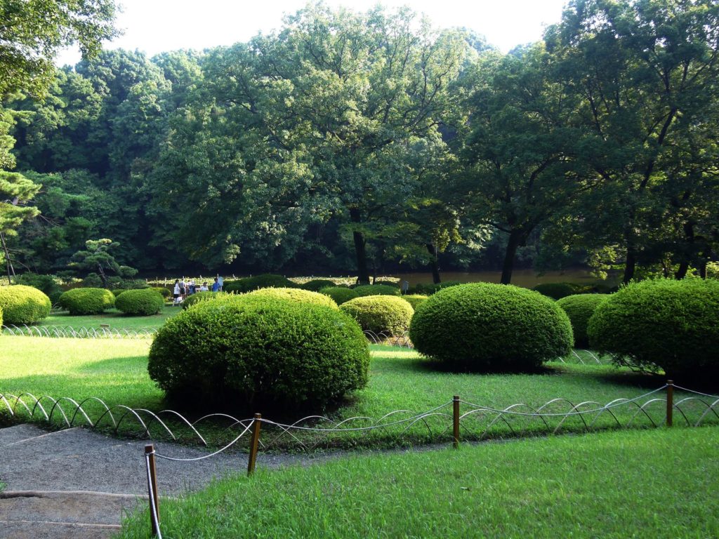 Gyoen Yoyogi