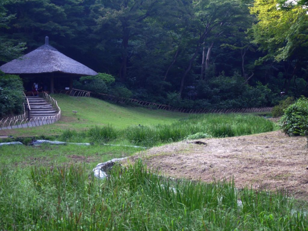 Lys Gyoen Yoyogi