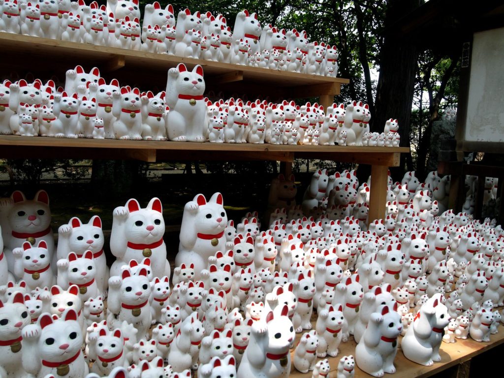 Maneki Neko Gotoku-ji Focus