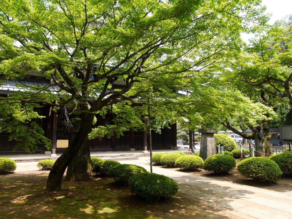 parc-gotoku-ji