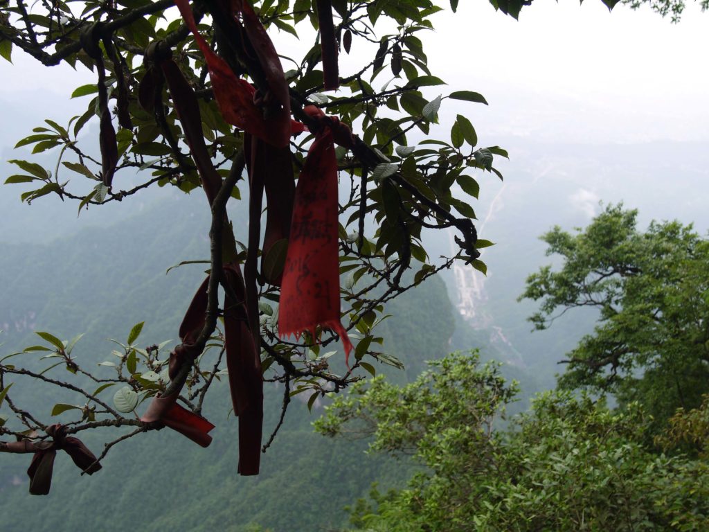 vue-tianmen