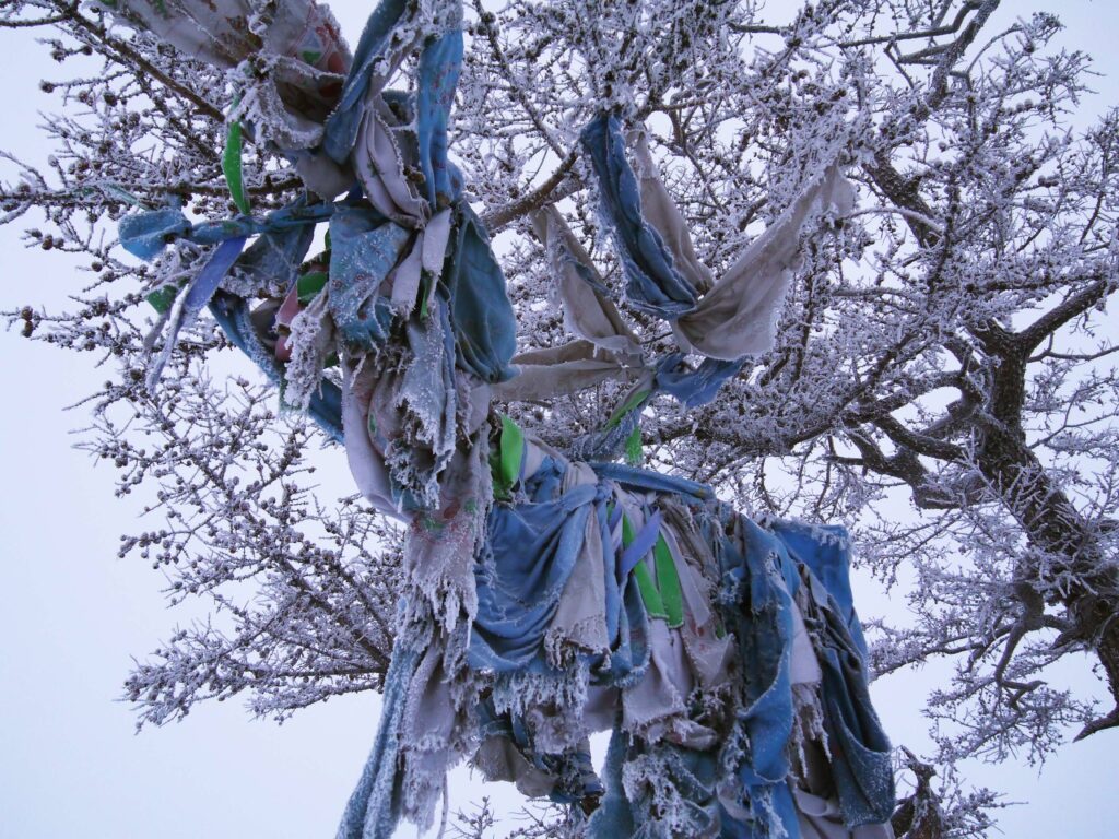 Arbre-priere-chamanique-Baïkal