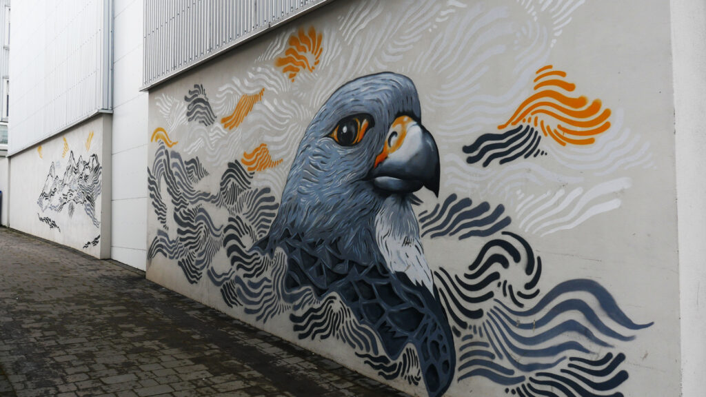 pigeon-street-art-reykjavik