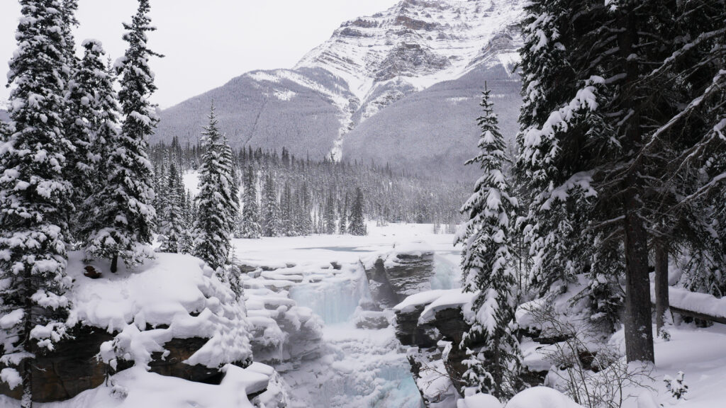 paysage-chutes-athabasca