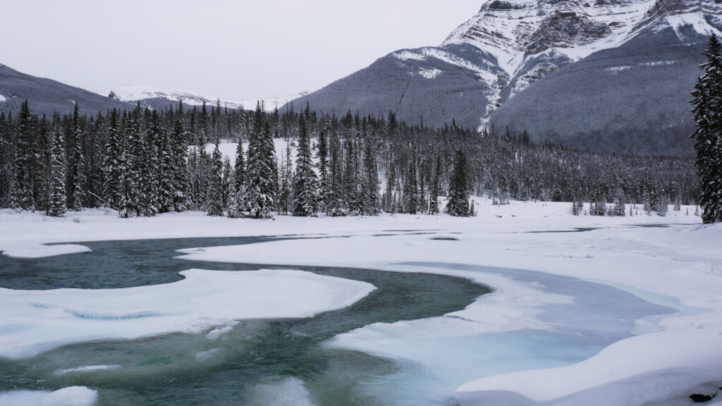 ruisseau-chutes-athabasca-jasper