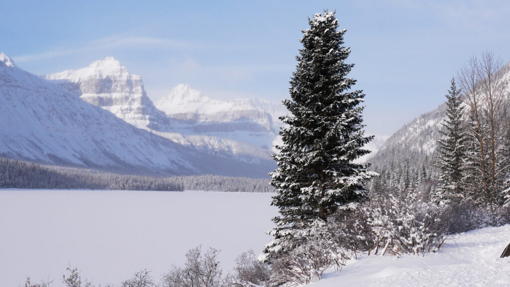 Waterfowl-Lakes