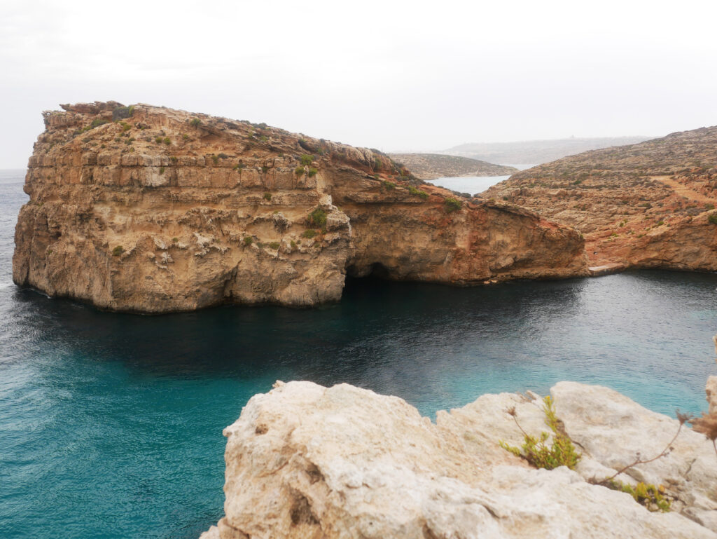 comino-roche