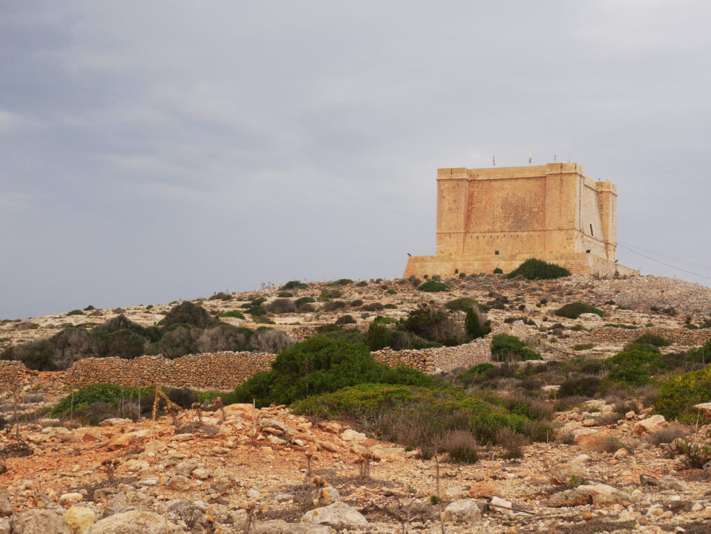 tour-sainte-marie-comino