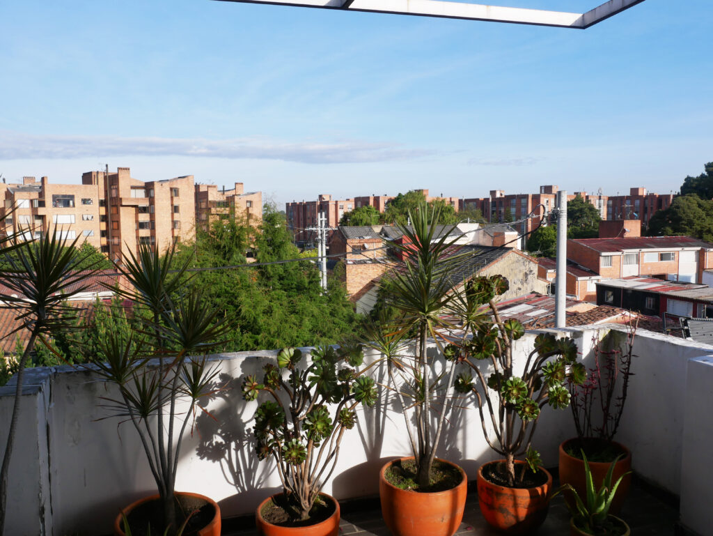 A-bogota-on-holidays-rooftop-plante