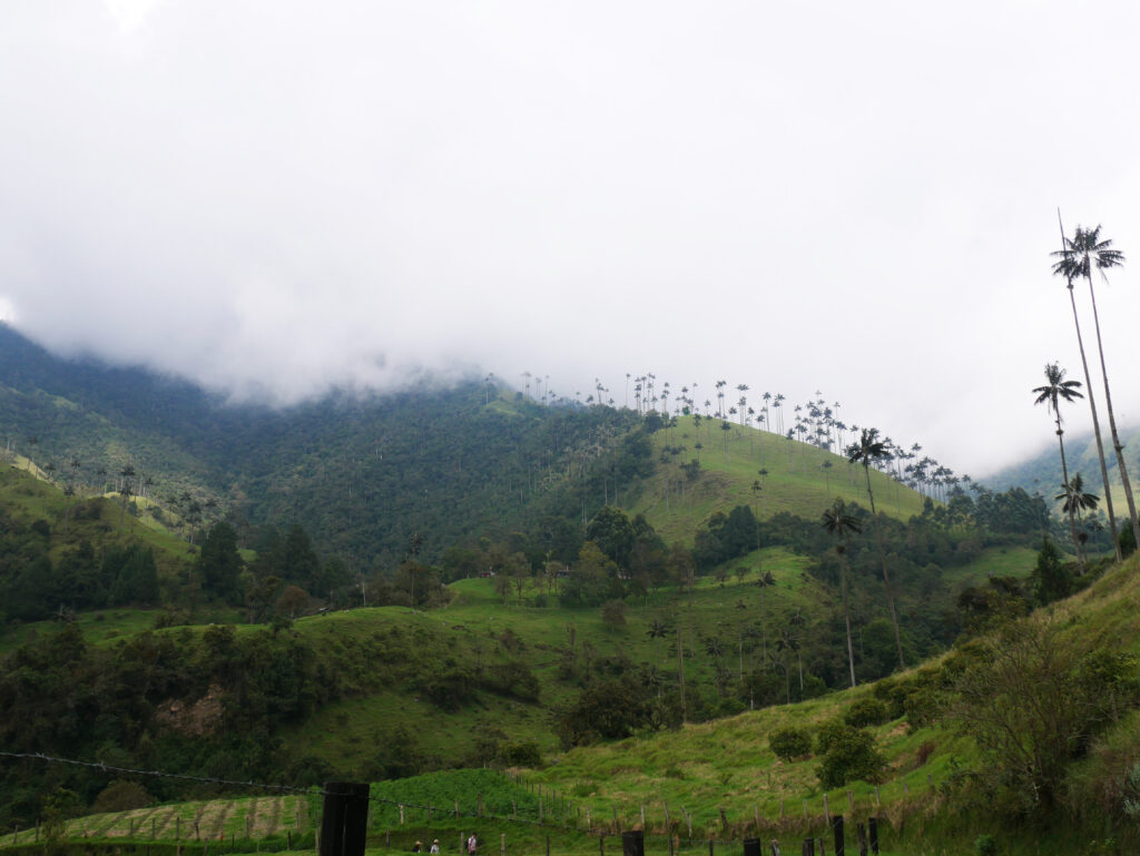 cocora-reserve-naturelle