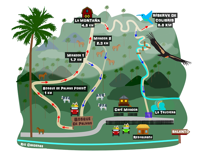 Map-cocora