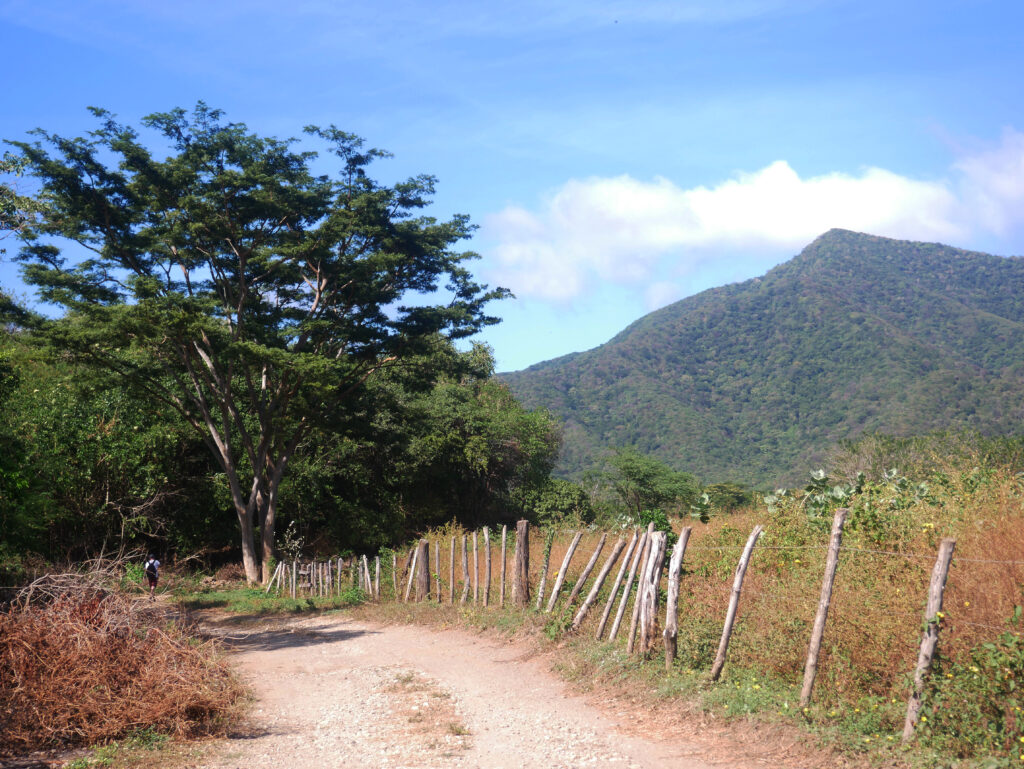 chemin-bahia-concha-caraibes