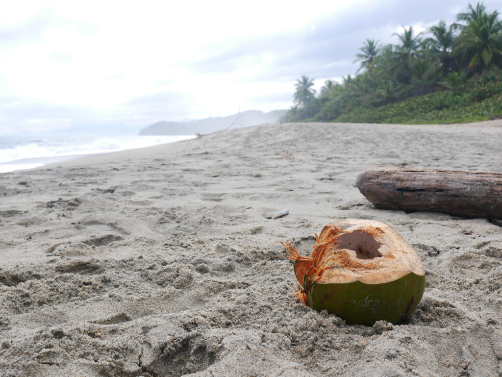 playa-castilletes-PNN-tayrona-caraibes