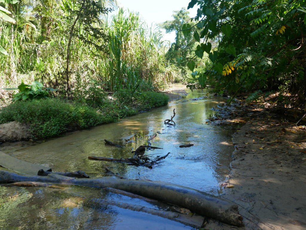 riviere-PNN-Tayrona-caraibes