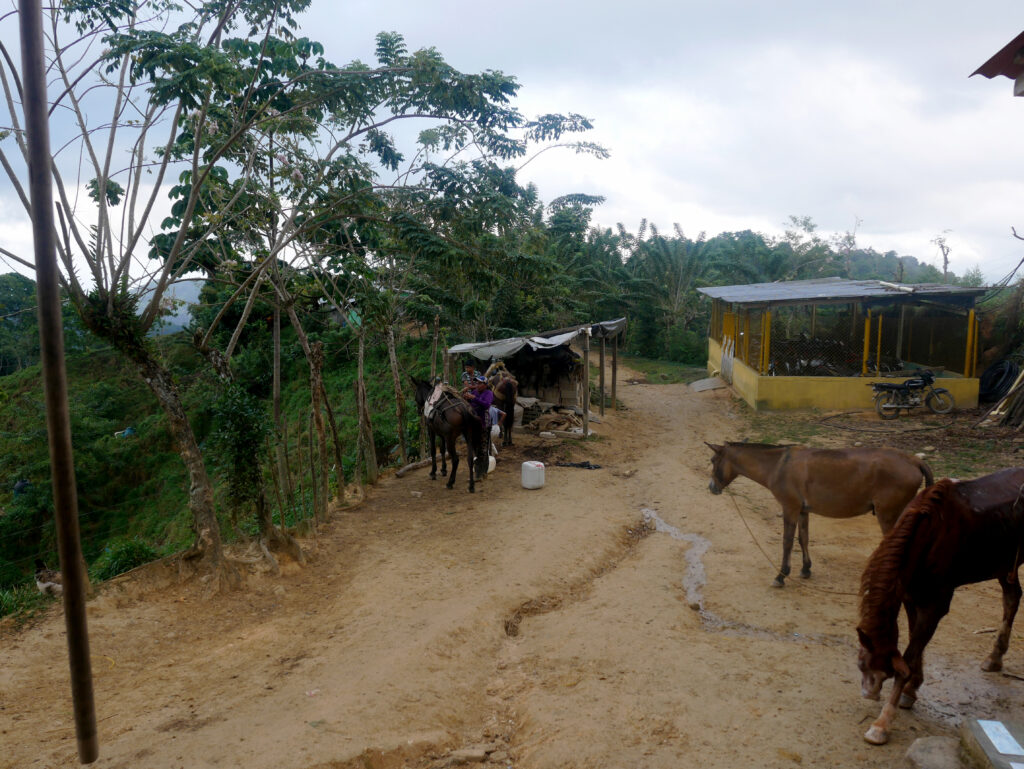 stop-trek-ciudad-perdida