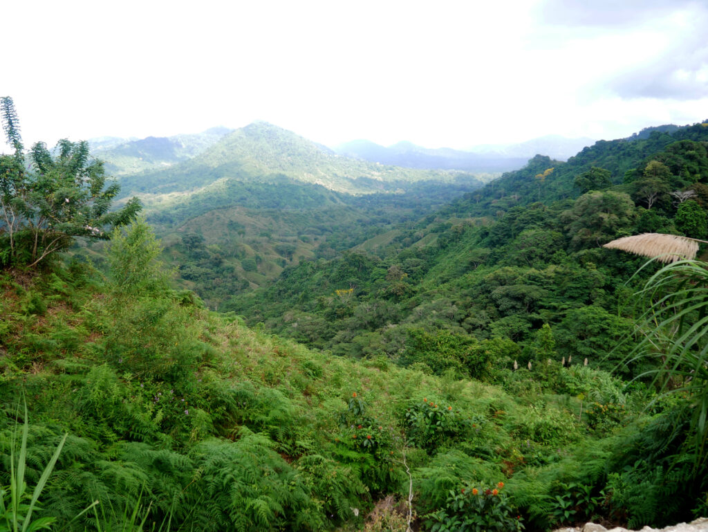 vue-montagne-ciudad-perdida-1