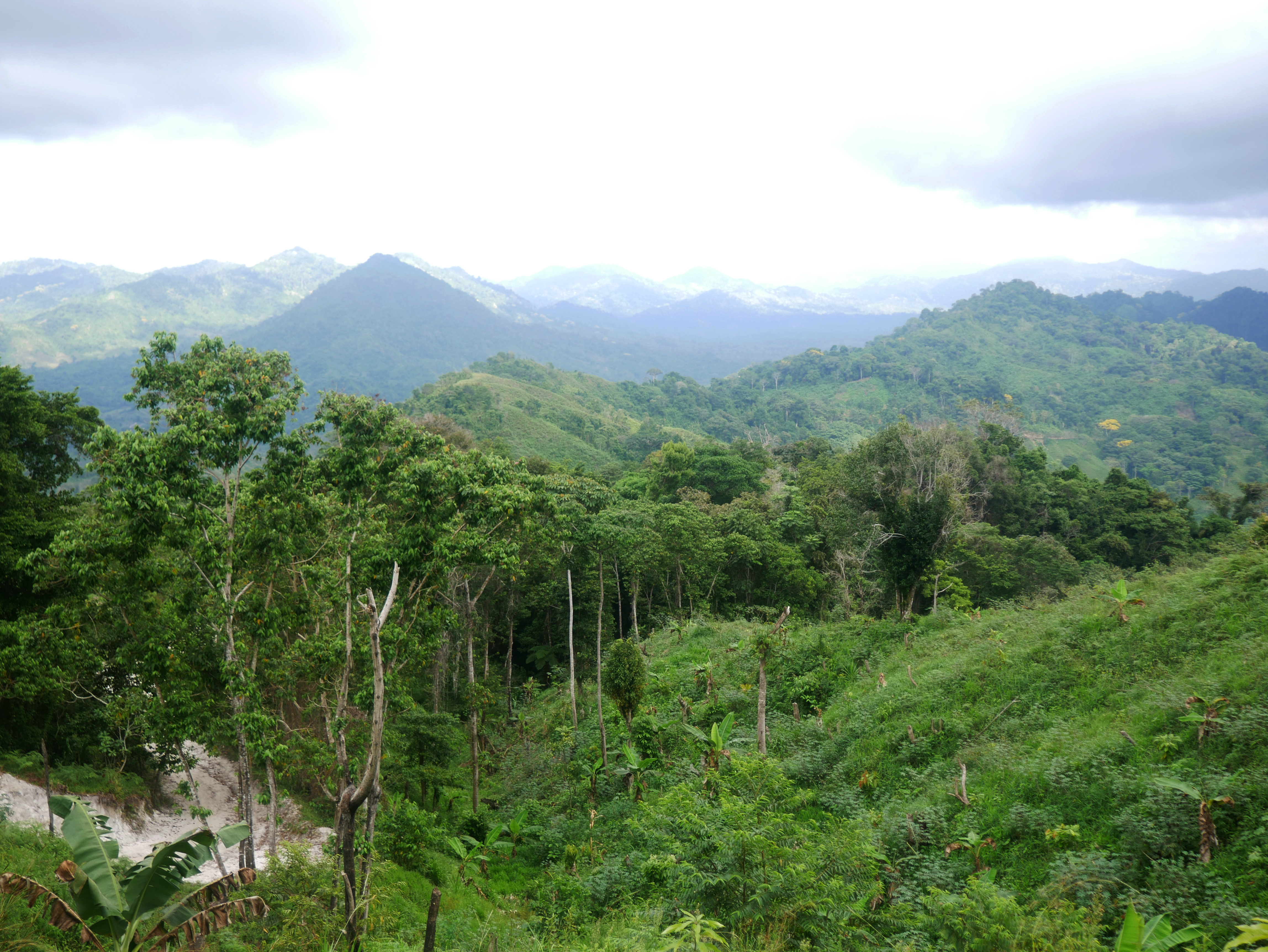 vue-sentier-ciudad-perdida-1