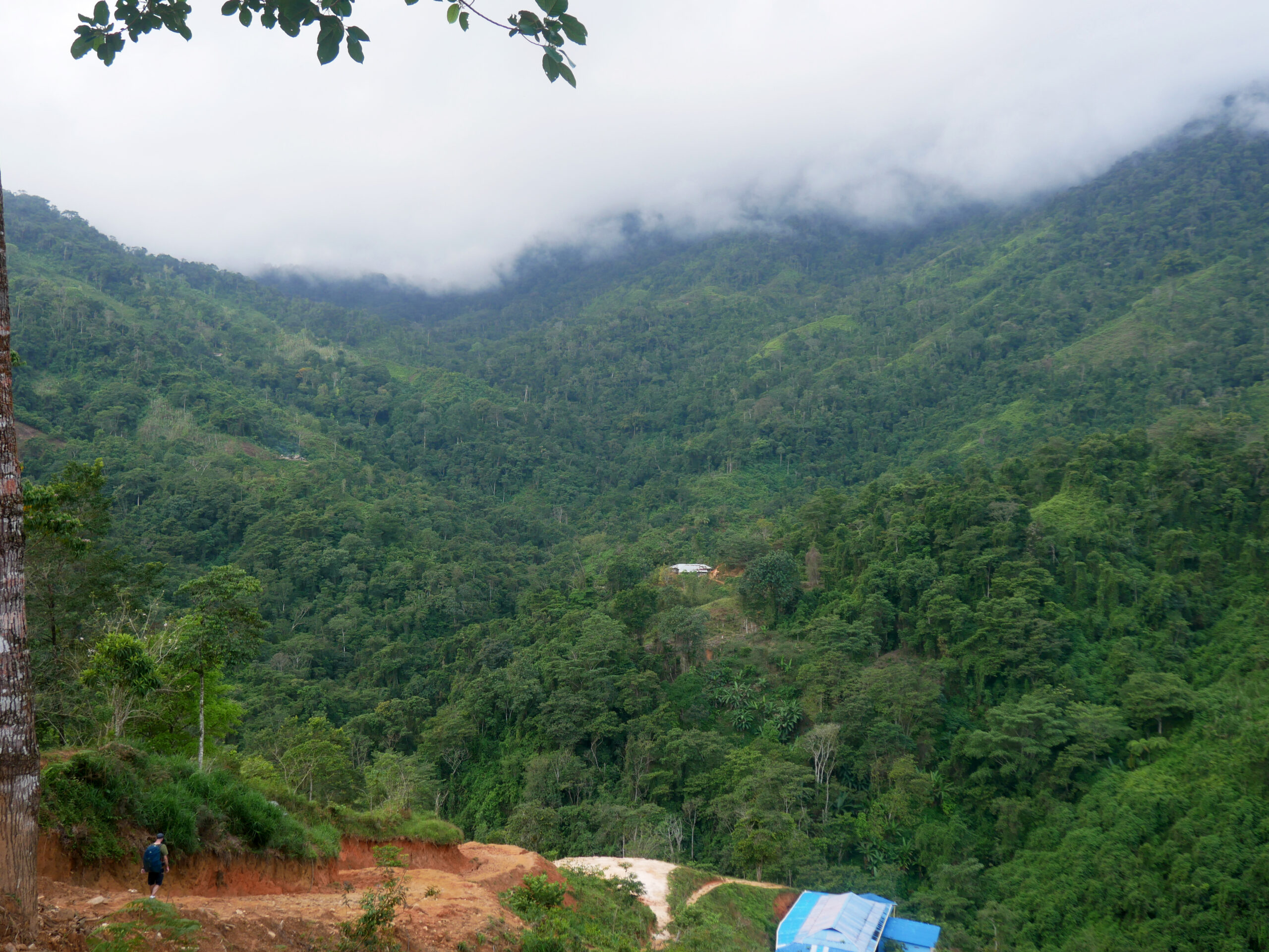 vue-sentier-ciudad-perdida-2