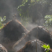 header-ciudad-perdida