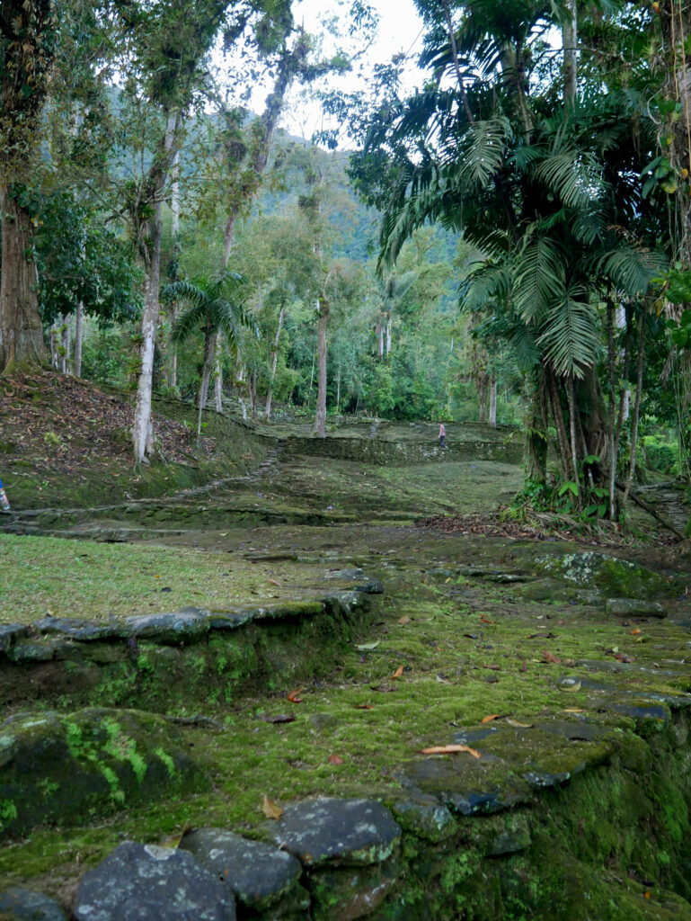 premieres-terrasses-ciudad-perdida