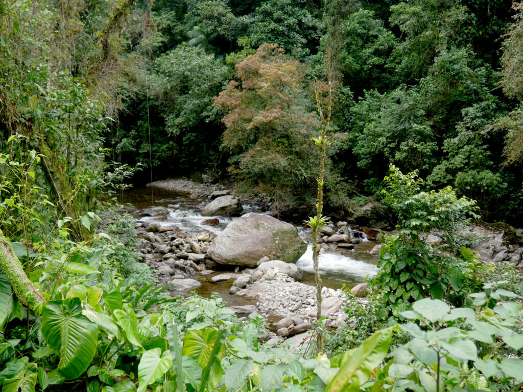 riviere-trek-ciudad-perdida