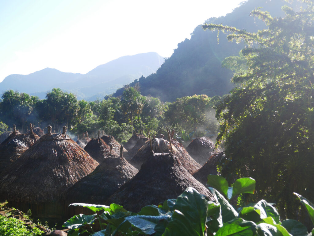 village-kogi-ciudad-perdida