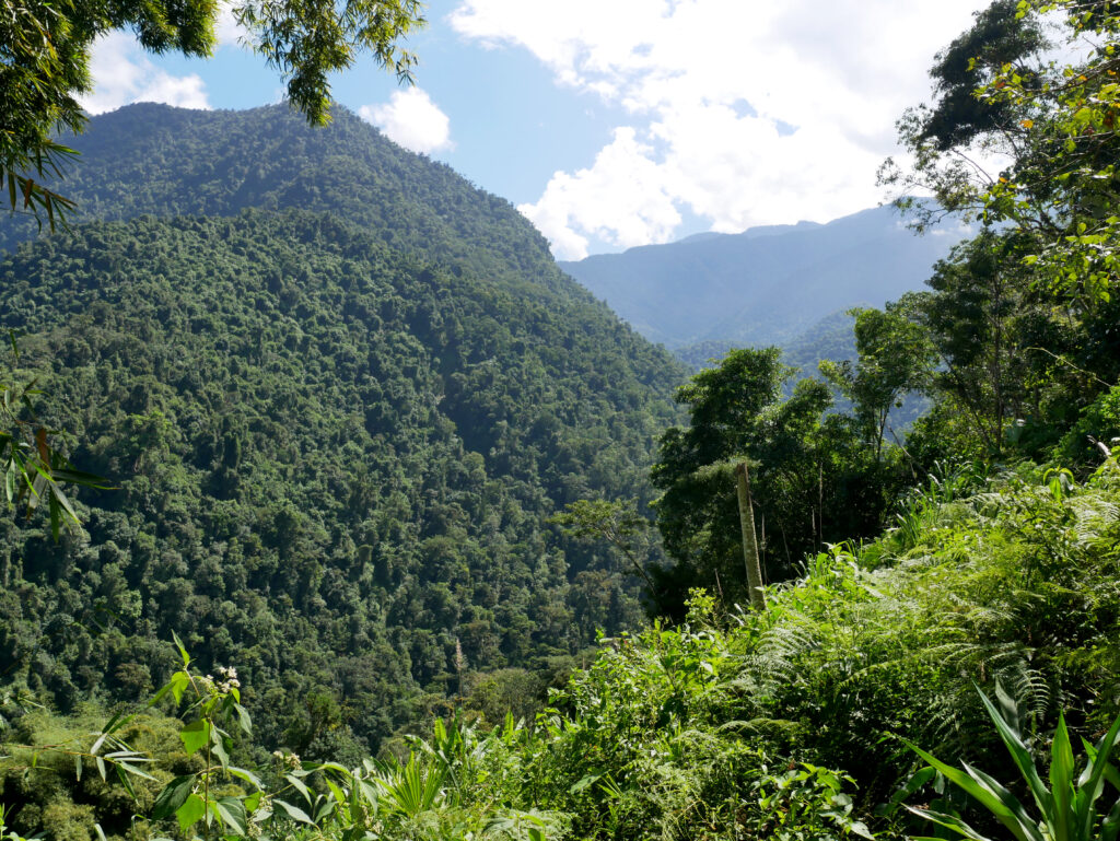 vue-montagne-ciudad-perdida-2