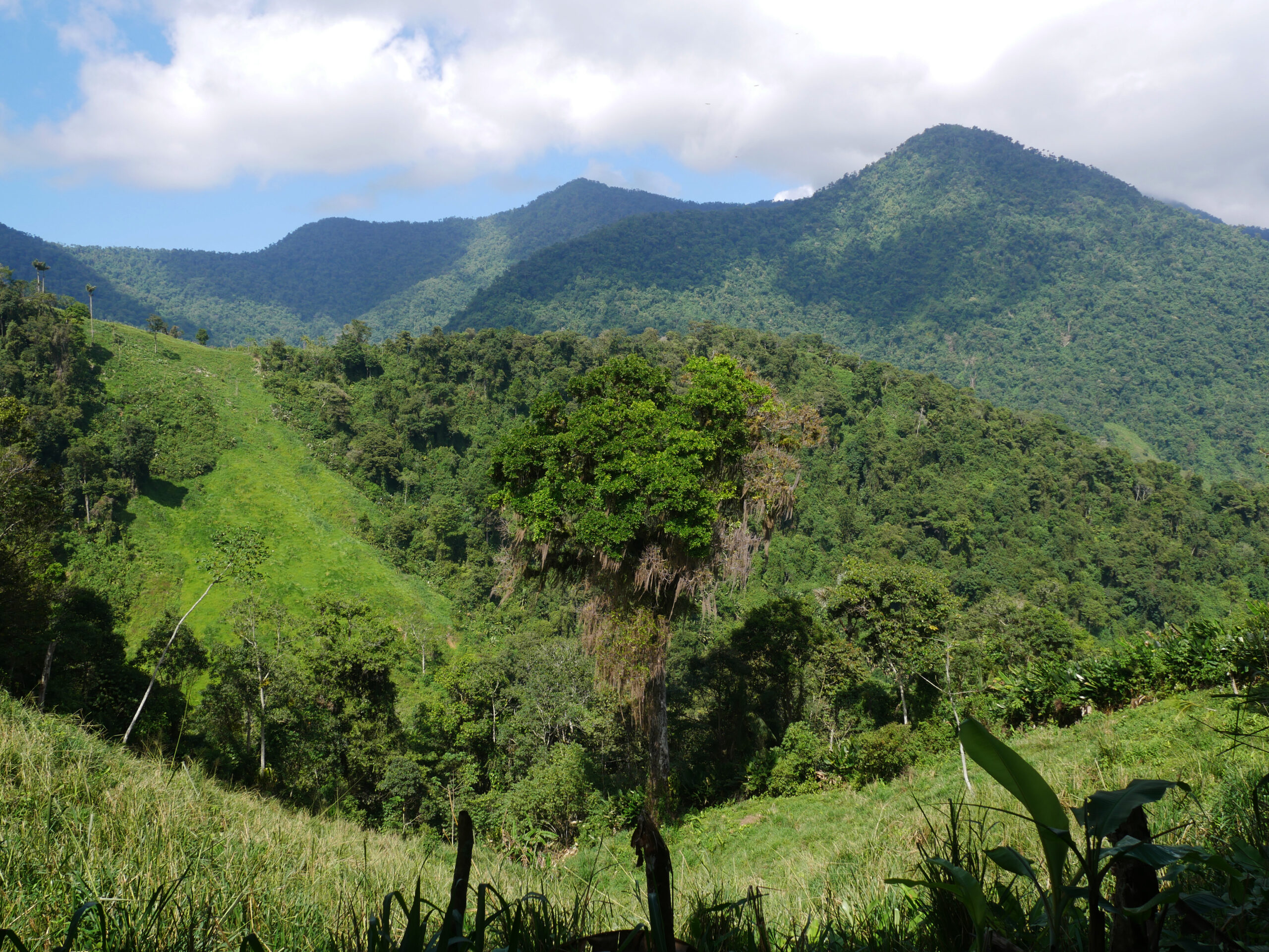 vue-montagne-ciudad-perdida-3