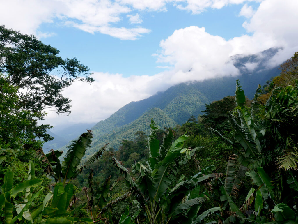 vue-montagne-ciudad-perdida-4