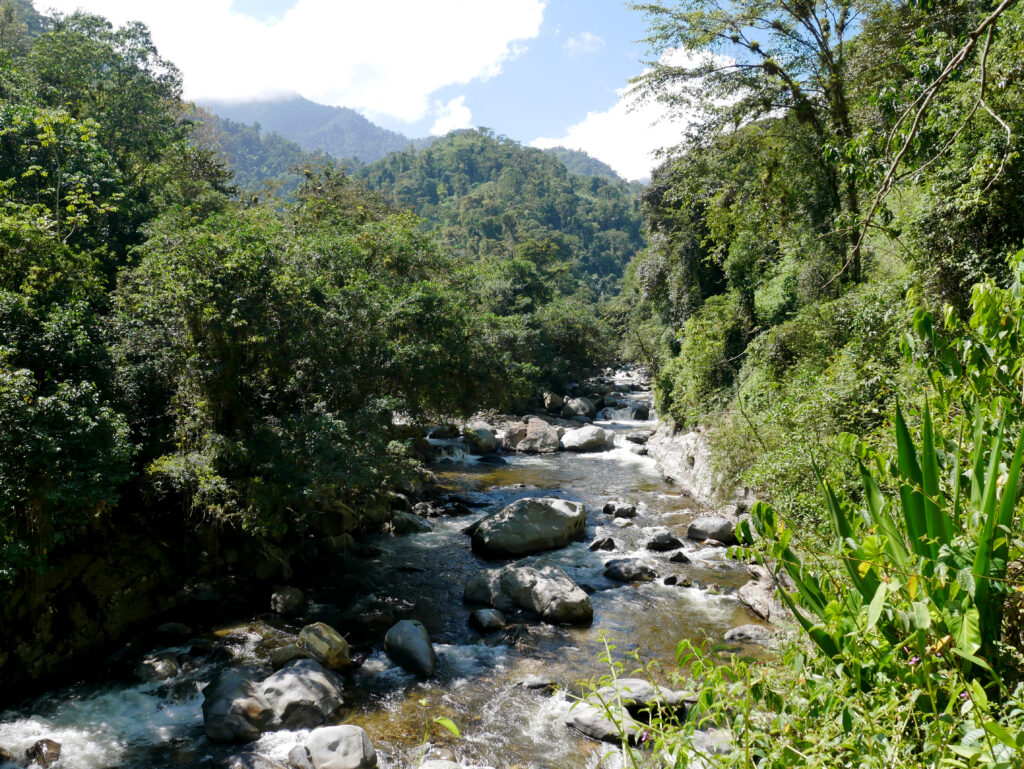 vue-riviere-ciudad-perdida-1