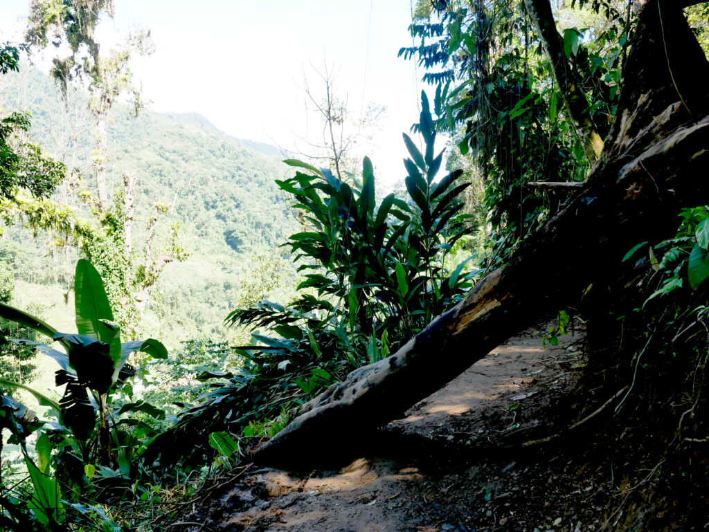 vue-sentier-ciudad-perdida-3