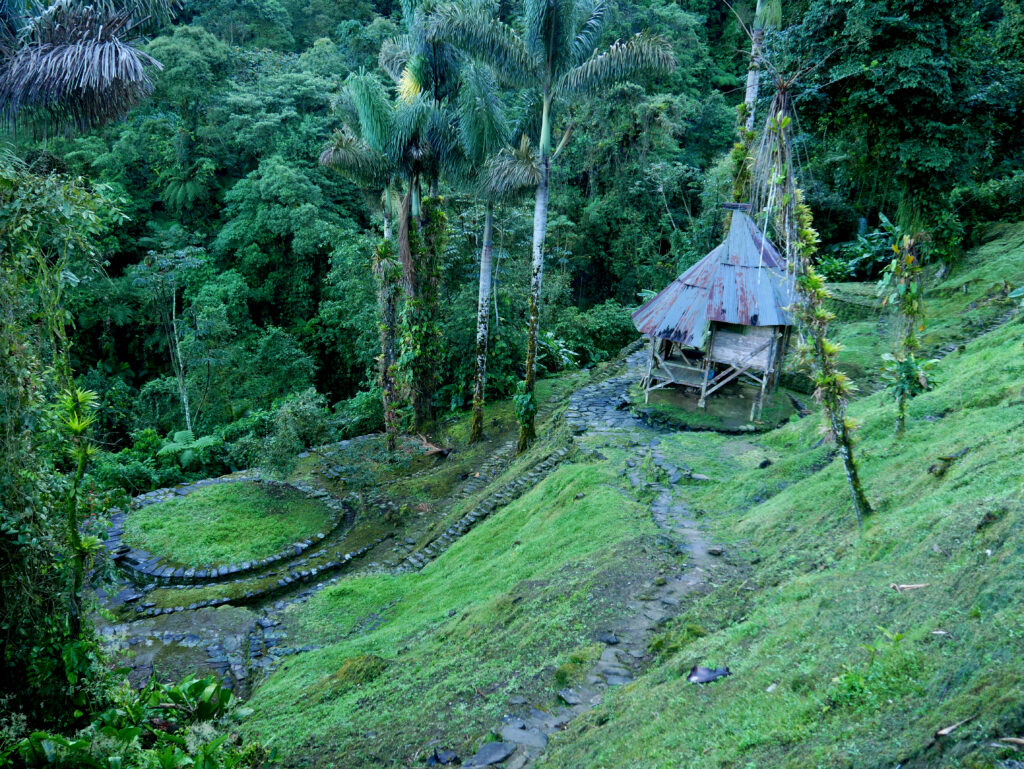 vue-terrasse-ciudad-perdida