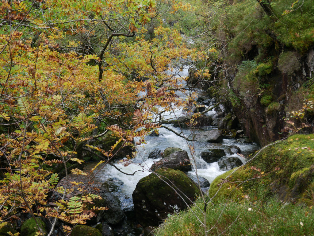 cours-eau-vallee-secrete