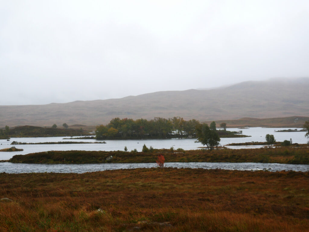 Rannoch-Moor