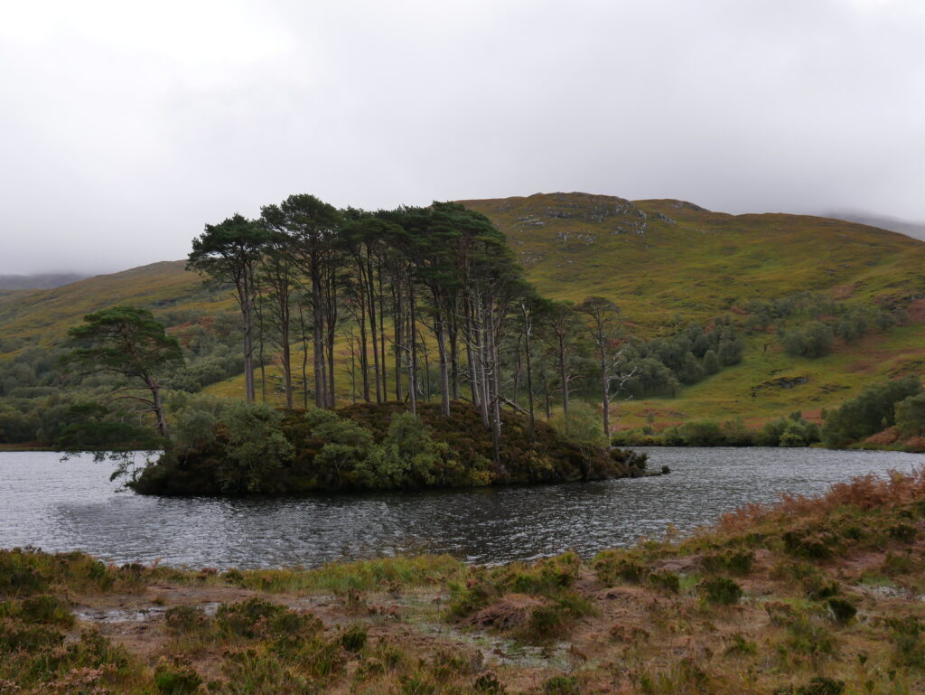 ile-Eilean-na-Moine
